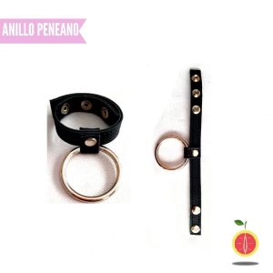 ANILLO PENEANO