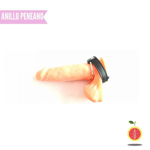 ANILLO PENEANO - Image 2