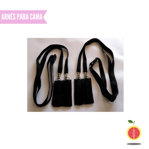 ARNÉS PARA CAMA - Image 4