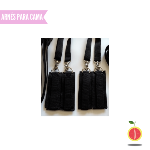 ARNÉS PARA CAMA - Image 6
