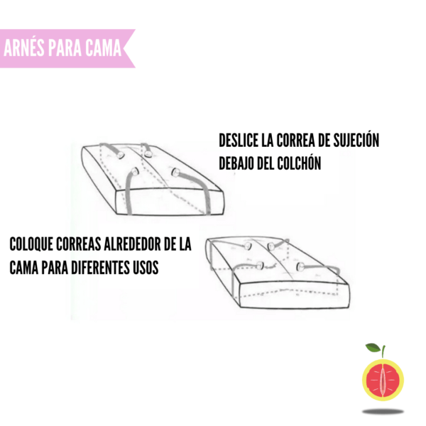 ARNÉS PARA CAMA - Image 2
