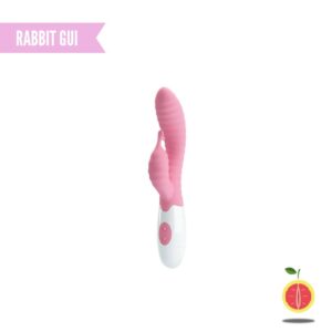 RABBIT GUI