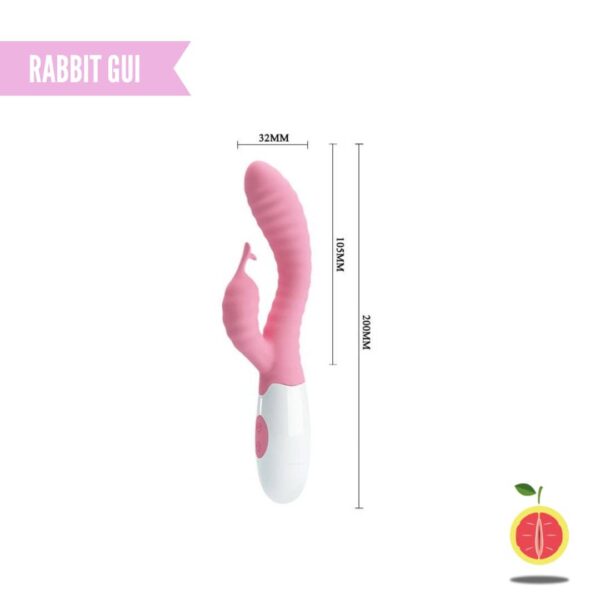RABBIT GUI - Image 3