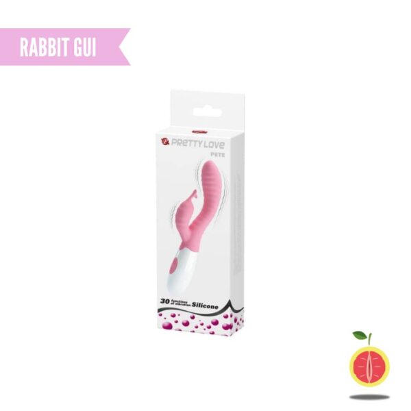 RABBIT GUI - Image 2