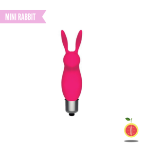 MINI RABBIT